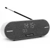 Technisat DigitRadio BT 2 cinzento-claro (0001/3973)