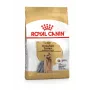 ROYAL CANIN BHN Yorkshire Terrier Adult - Comida seca para cães - 3kg