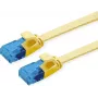 Cabo de patch Ethernet Value 21.99.2033