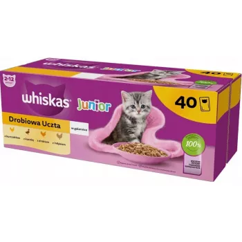 Alimento húmido para gatos Whiskas Junior aves em geleia 40 x 85 g — para gatinhos