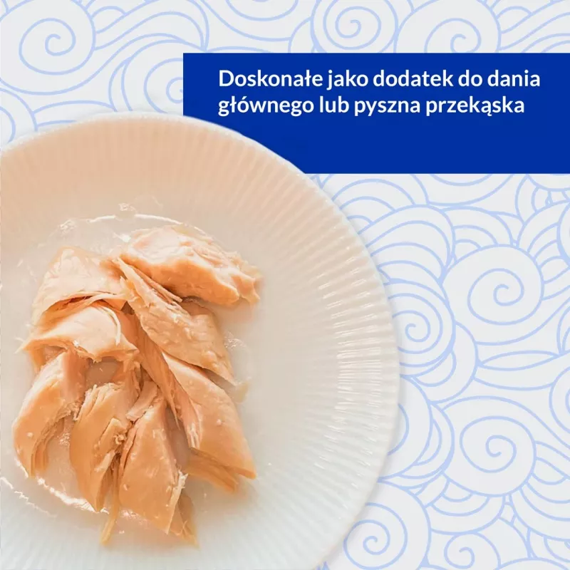 INABA Ciao Filete de Frango Grelhado em Caldo com Sabor a Frango - Petiscos para gatos - 25g