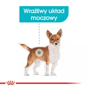 Comida seca para cães Royal Canin Mini Urinary Care 3 kg — raças pequenas, aves, 27 % proteína, 16 % gordura