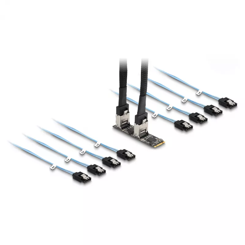 Conversor DeLOCK M.2 2280 Key B+M macho para 8 x SATA