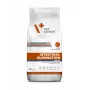 VET EXPERT Veterinary Diet Intestinal Elimination Dog – Alimento seco para cães – 12 kg