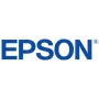 Epson C13T56FB00 tinteiro original verde