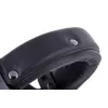 Auscultadores Beyerdynamic DT 770 PRO 250 OHM preto edição limitada