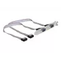 Placa de interface DeLOCK 89083
