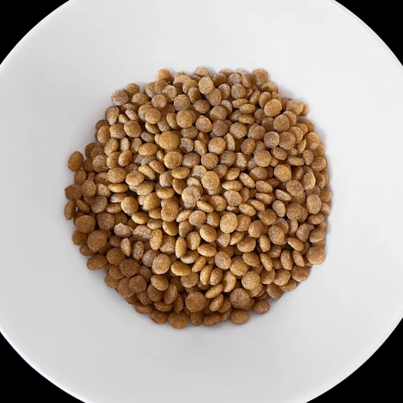 VET RESPONSE Hypoallergenic - ração seca para gatos - 1,6 kg