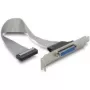 DeLOCK 84300 espelho de porta paralela, DB25 para IDC de 26 pinos, 22 cm