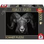 Ashley Rader: Dominance - Widder, Im Zeichen des Feuers, Puzzle 1000 peças