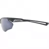 Óculos de sol Alpina Nylos HR Cat. 3 cinzento