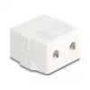 Delock 85843 Caixa Keystone vazia, 2 portas, com base magnética, branco