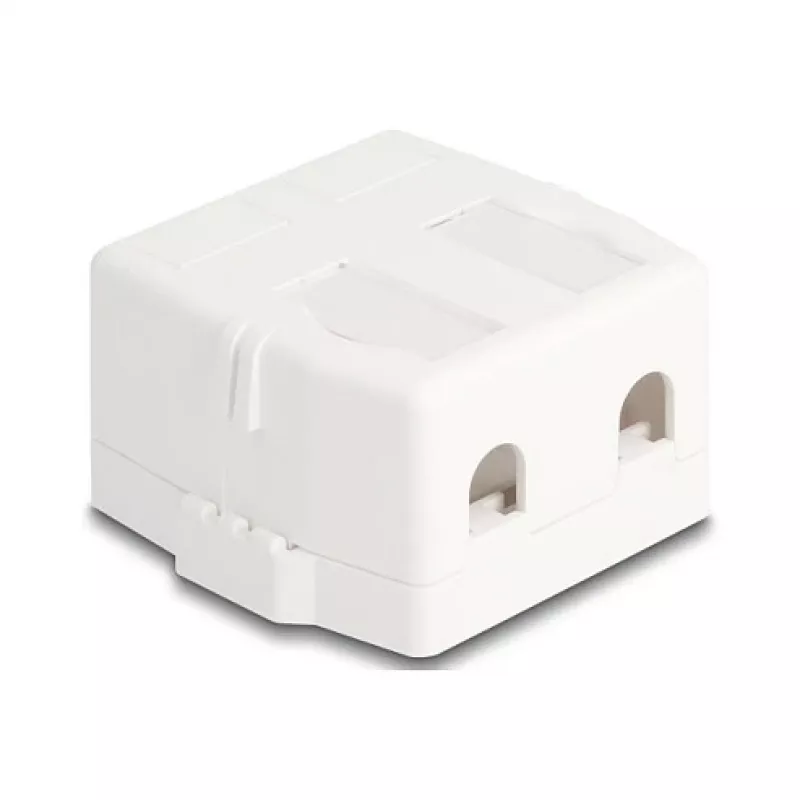 Delock 85843 Caixa Keystone vazia, 2 portas, com base magnética, branco