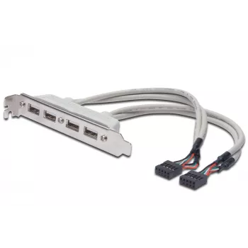 Cabo para chapa de slot USB 2.0 HighSpeed Tipo 2xIDC (5pin)/4xUSB A M/F cinzento 0,25 m