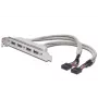 Cabo para chapa de slot USB 2.0 HighSpeed Tipo 2xIDC (5pin)/4xUSB A M/F cinzento 0,25 m