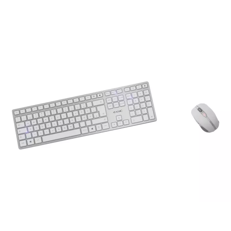 Teclado e rato finos CHERRY DW 9100 universal RF wireless + Bluetooth checo, eslovaco prateado
