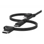 Belkin Cabo universal Lightning/Micro/USB-C
