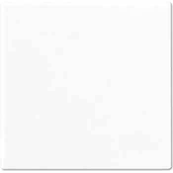 Moldura para interruptor Jung A 590 WW branco – acessório para interruptor de parede, superfície branca