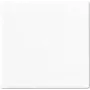 Moldura para interruptor Jung A 590 WW branco – acessório para interruptor de parede, superfície branca
