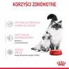 Royal Canin BABYCAT INSTINCTIVE - Ração húmida para gatos - 195 g