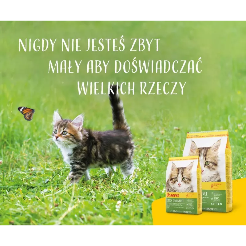 Alimento seco para gatos Josera Kitten aves 2 kg