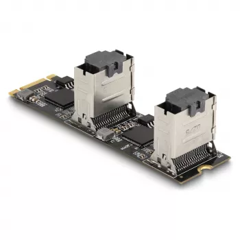 Conversor DeLOCK M.2 2280 Key B+M macho para 8 x SATA