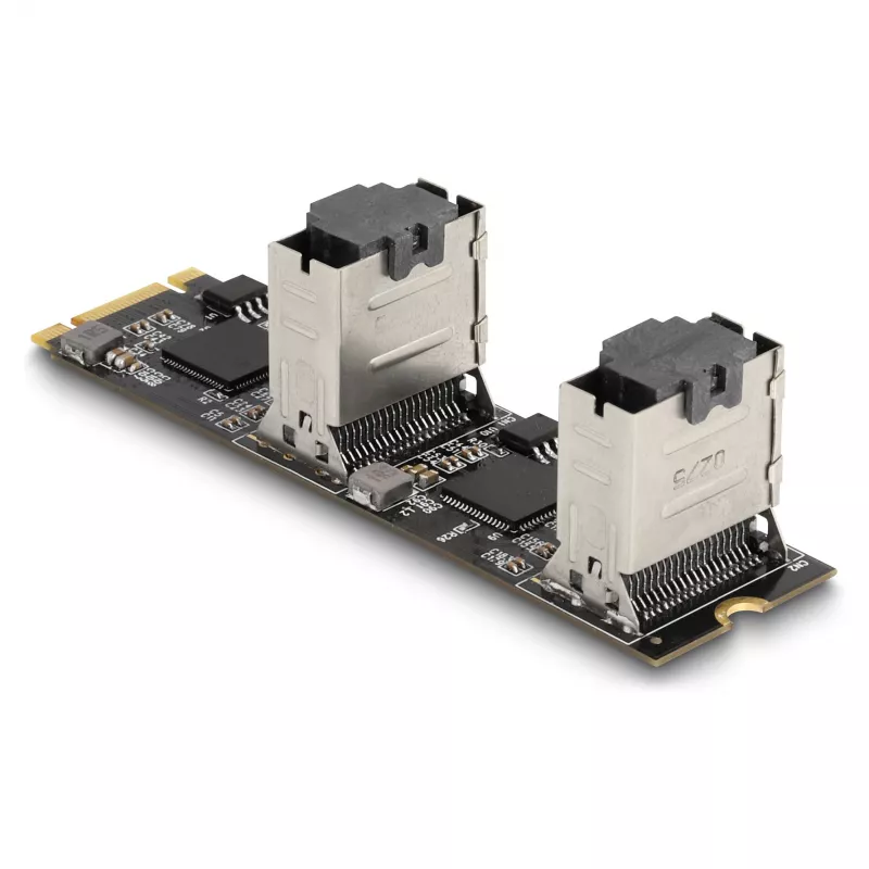 Conversor DeLOCK M.2 2280 Key B+M macho para 8 x SATA