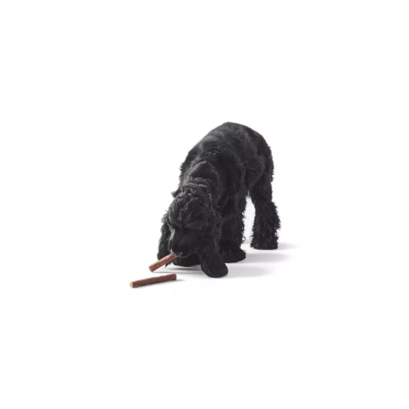 JOHN DOG sticks de javali snack para cães 50 g