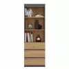 Estante de escritório Top e shop RS-60 ANT/ART KPL — 3 prateleiras, aglomerado, 600×350×1800 mm