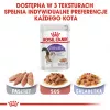 ROYAL CANIN FHN Sterilised in Soße – Comida húmida para gatos adultos – 12x85g