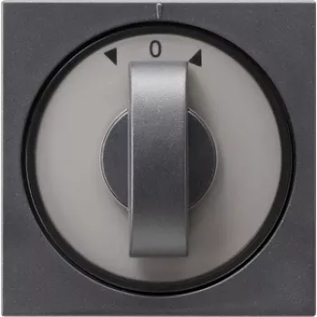 GIRA 066628 Placa de parede/tampa de interruptor antracite (066628)