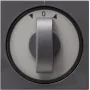 GIRA 066628 Placa de parede/tampa de interruptor antracite (066628)