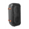 Altifalante KARAOKE Esperanza EP156 BT FM LED RGB Preto 20W