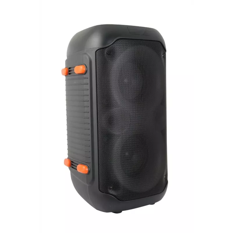 Altifalante KARAOKE Esperanza EP156 BT FM LED RGB Preto 20W