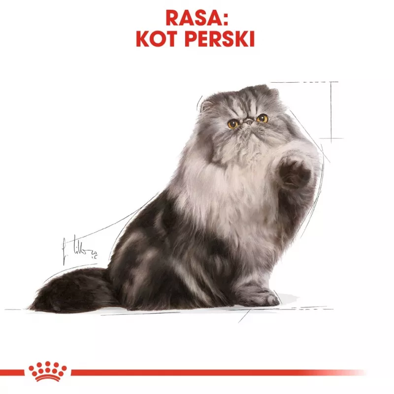 Royal Canin Persian Adult ração seca para gatos, 4 kg, milho, aves