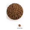 Orijen Regional Red 2 kg Adulto Vaca, Borrego, Porco