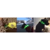 Coleira LED Anicoll verde para cães e gatos modelo iluminação recarregável