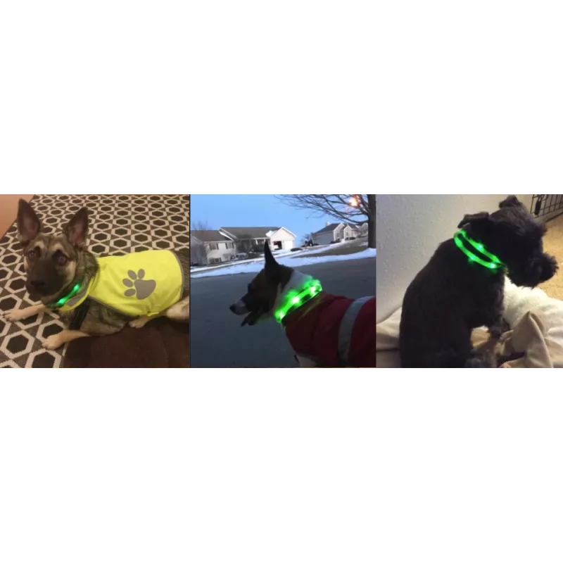 Coleira LED Anicoll verde para cães e gatos modelo iluminação recarregável