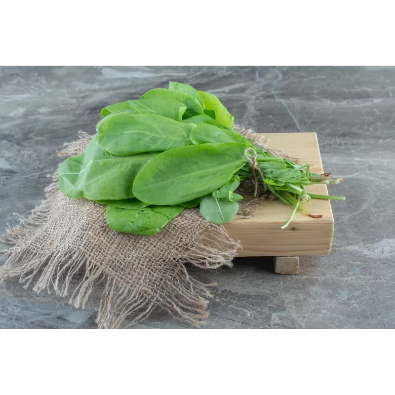 Sementes de hortícolas espinafre da Nova Zelândia Toraf, pacote 5g
