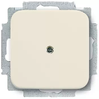 BUSCH-JAEGER tampa cega 2538-212 Duro 2000 SI anel de suporte branco 2538-212 (1715-0-0218)