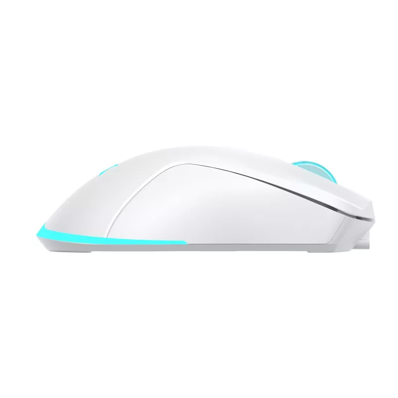 Rato Baracuda BGM-122 Turtle branco TURTLE-W