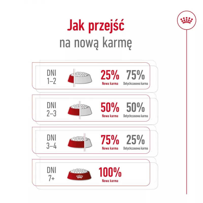 ROYAL CANIN Mini Ageing Adult +12 - Ração seca para cães - 3,5 kg