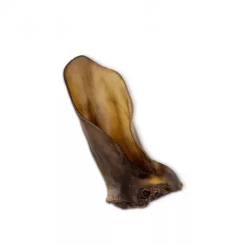 Artigo de mastigar para cães UNISZKI orelha de vaca média — artigo de mastigar natural individual para cães de porte médio e adultos, proteína 75,8 %, humidade 14,9 %