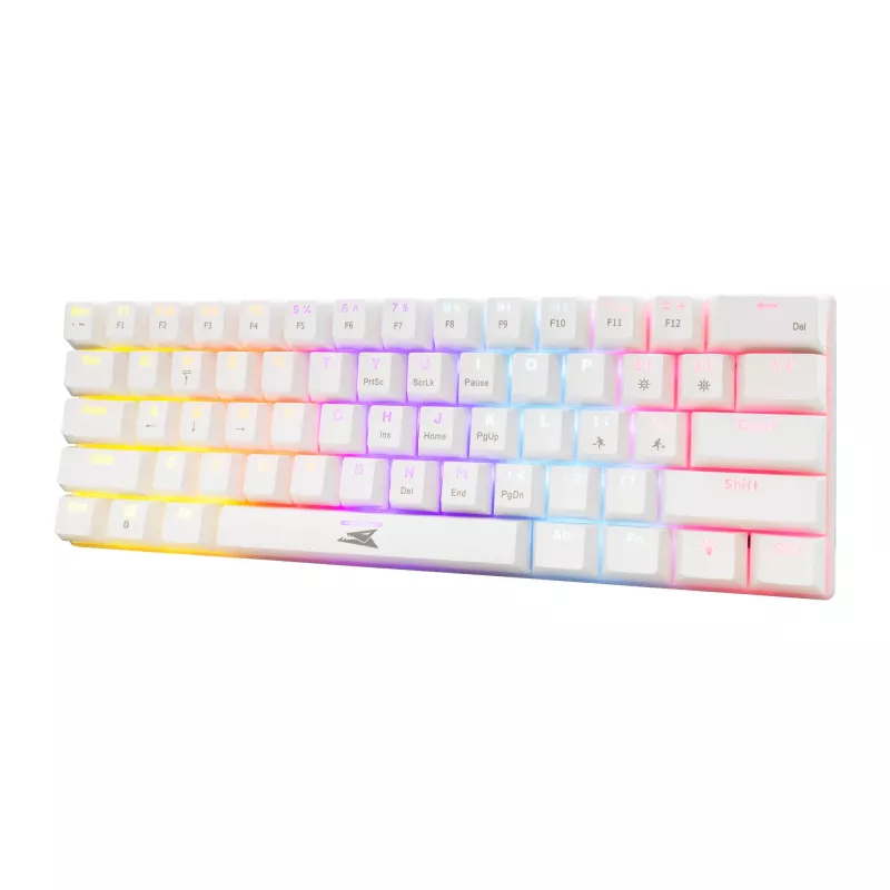 Baracuda DOLPHIN-W-azul branco