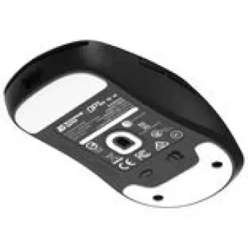 Rato Gaming Endgame Gear OP1w v2 Wireless