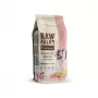 VETEXPERT Raw Paleo Healthy Grain Puppy Salmon & Barley ração seca para cachorros, 10 kg