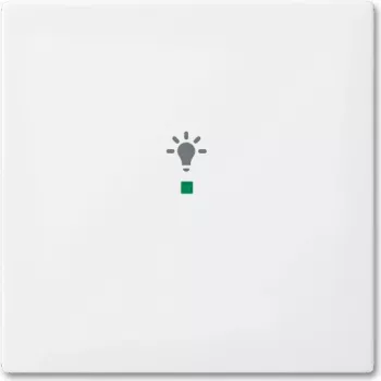 Placa de cobertura Busch-Jaeger 2CKA006220A0356 para suporte e caixa de sensor branco (2CKA006220A0356)