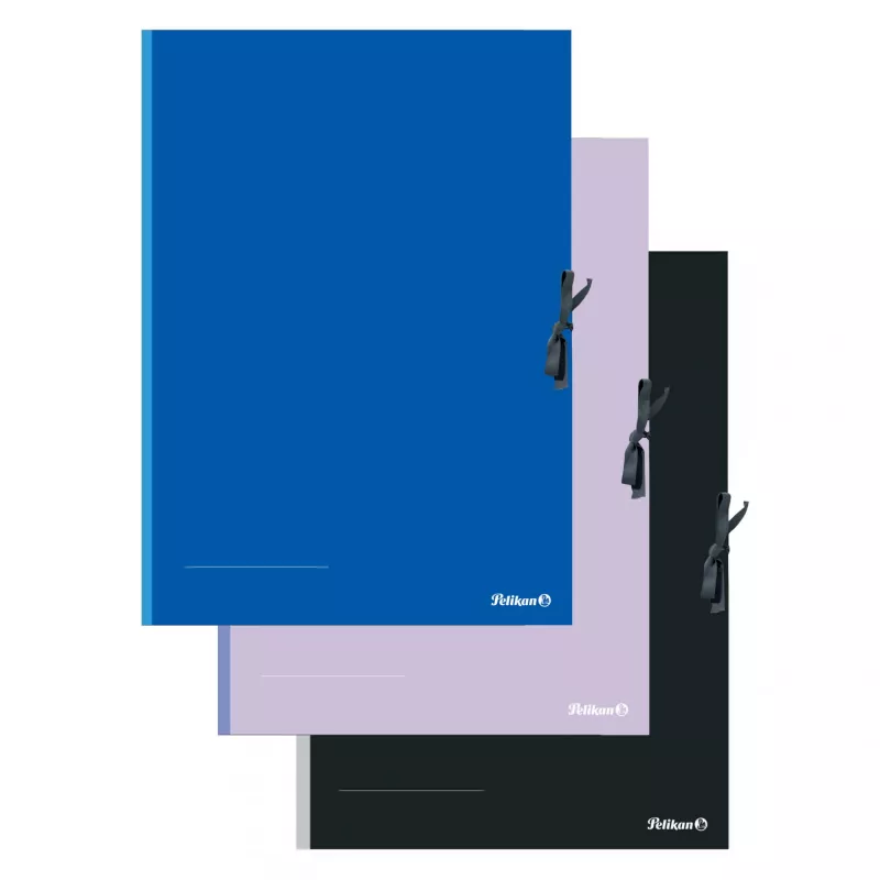 Pasta de arquivo Pelikan 276870 cartão preto azul rosa A2