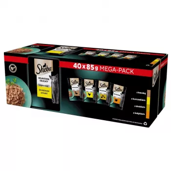 SHEBA Delicacy sabor a aves em geleia - alimento húmido para gatos - 40x85 g