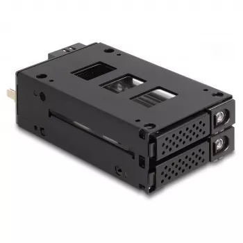 Delock - Rack de armazenamento móvel - baía fina - 5,25 para 2 x 2,5 (13,3 cm para 2 x 6,4 cm) - preto (47019)